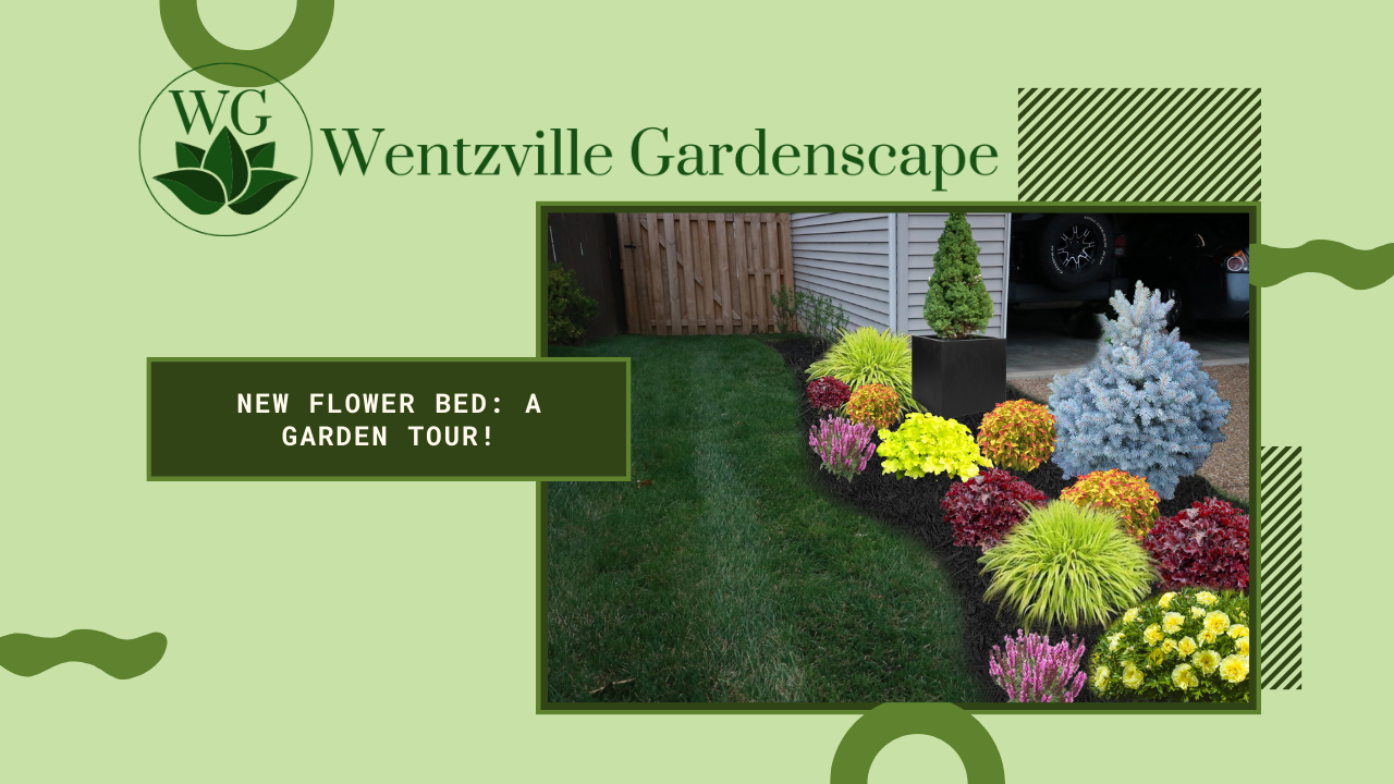 Creating a New Garden Bed: Step-by-Step Transformation